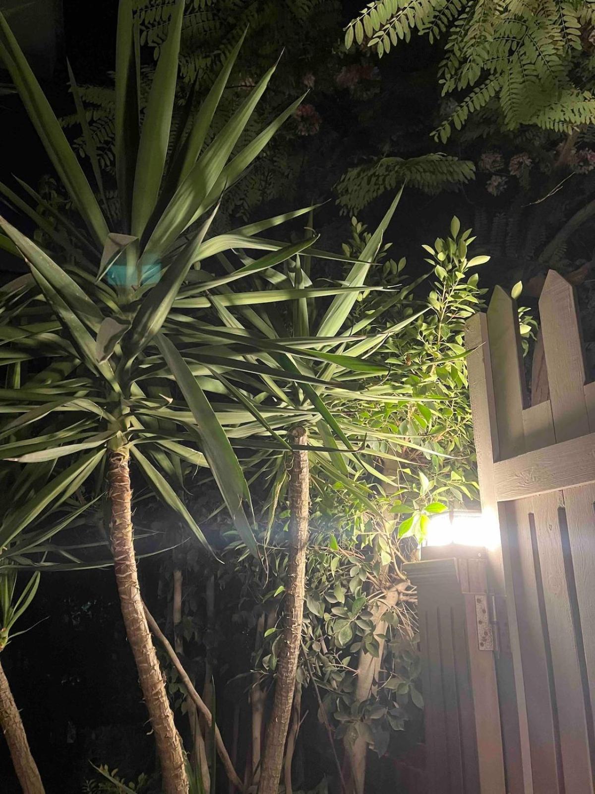Cool 4br New With Pool & Elevator *