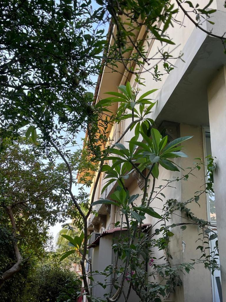 Cool 4br New With Pool & Elevator Villa *