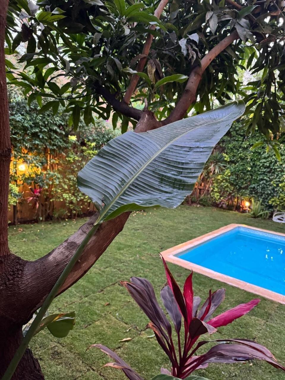 Cool 4br New With Pool & Elevator Villa *