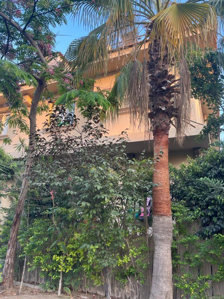 Cool 4br New With Pool & Elevator Villa *