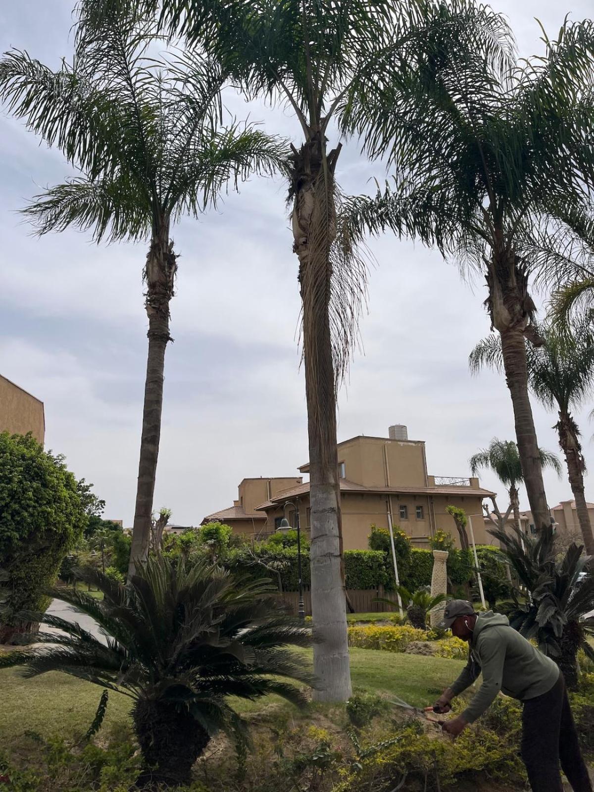 Cool 4br New With Pool & Elevator Villa *