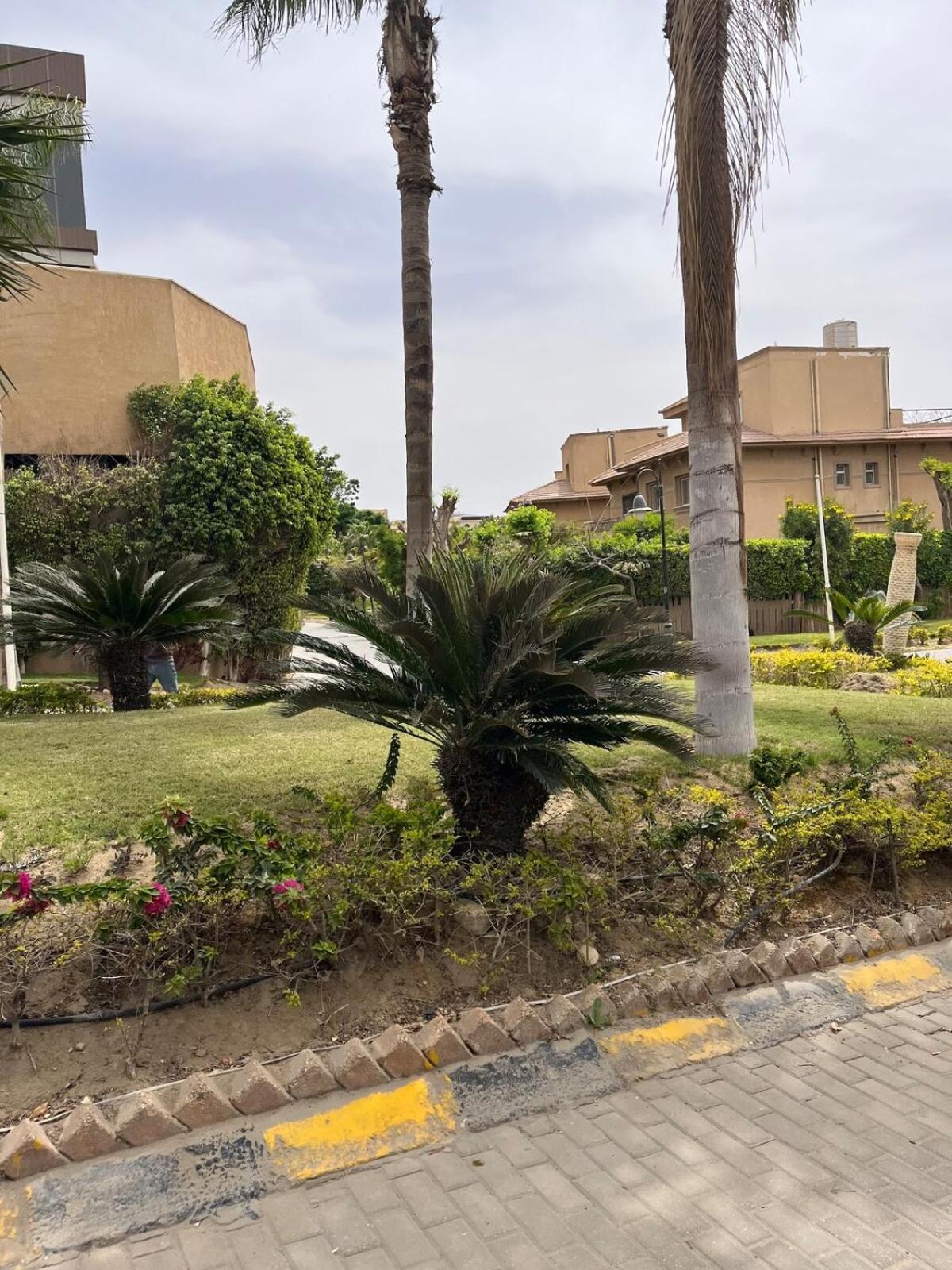Villa Cool 4br New With Pool & Elevator El Cairo